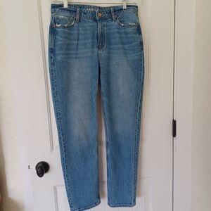 Classic Blue Denim Jeans